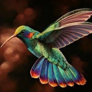 Meet your Posher, Alison